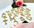 Elyyvera-Organic Gold Initial Charm